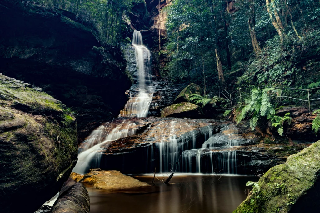 Blue Mountains National Park 3